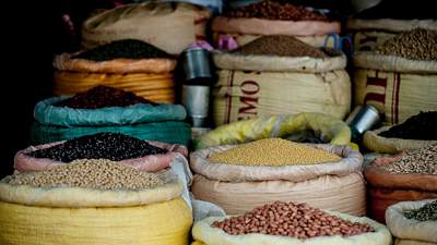 Рынок оборота семян Казахстана раскритиковал сенатор