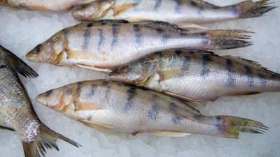 запрет на вывоз рыбы хотят ввести в Казахстане