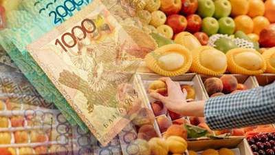 Правительство назвало основную причину роста цен на продукты в Казахстане