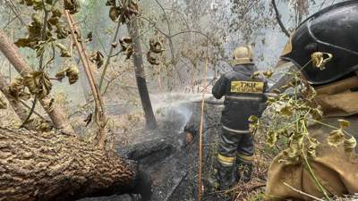 пожар в Абайской области
