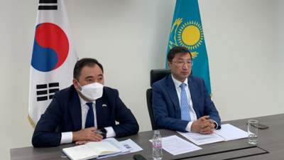 Конституционная реформа Казахстана, отклик в Южной Корее