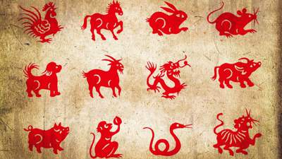 Опубликован китайский гороскоп на ноябрь для всех знаков восточного календаря