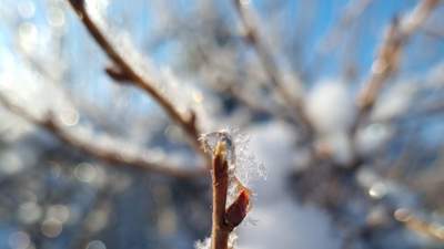 Морозы до 43 градусов и сильные осадки ожидаются в Казахстане