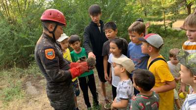 В Усть-Каменогорске спасатели помогли ежику выбраться из трубы
