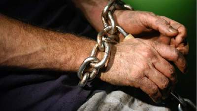 12 лет рабства: вынесен приговор жителю Абайской области