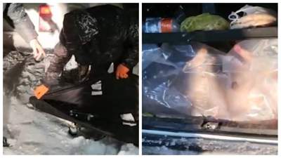 Туши краснокнижных джейранов нашли в авто жителей Алматинской области