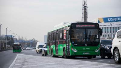 перевозчики, автобусы, транспорт