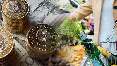 Казахстан инфляция меры Нацбанк депутат сомнения