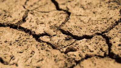 ООН предупреждает о деградации почвы