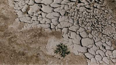 Засуха ожидается в Казахстане 