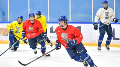 хоккей