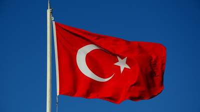 Турция отменила визит министра обороны Швеции после акции сожжения Корана у посольства