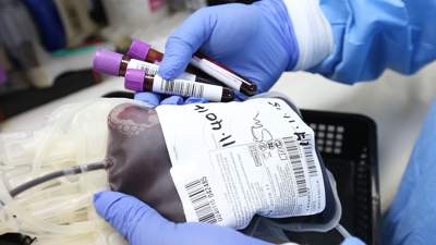 В Кокшетау родители запретили врачам переливать кровь, ребенок умер, идет расследование