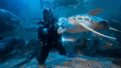 Международная конференция по аквариумистике прошла в Астане