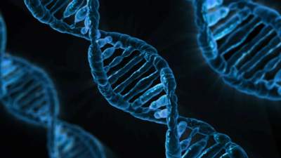 ИИ и ДНК
