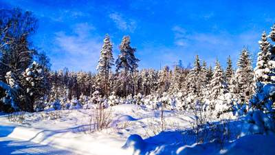 В Алматинской области ожидается сильный мороз 26 января