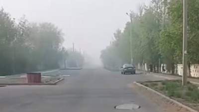 Жители Павлодара жалуются на сильный смог и запах гари - горит свалка твердо-бытовых отходов
