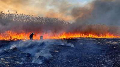 Дым и смог в Атырау прокомментировала министр экологии 