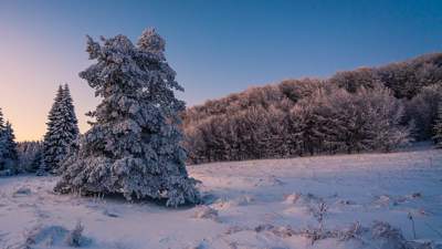 Минус 60 градусов зарегистрировано в якутском селе Оймякон, фото - Новости Zakon.kz от 12.12.2022 07:45