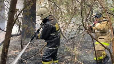пожарные в Абайской области