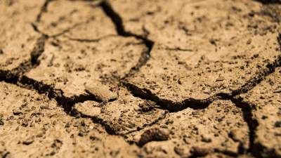 Каким регионам Казахстана грозит засуха в августе