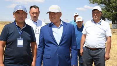 В Туркестанской области завершается уборочная кампания