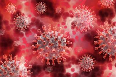 Опубликованы данные о заболеваемости коронавирусом, летальных исход