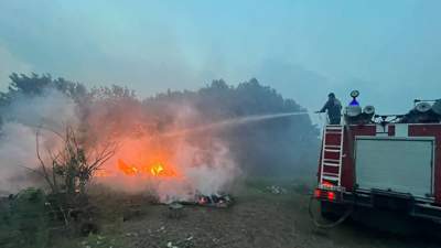 14 лесников пропали при крупном пожаре в Абайской области