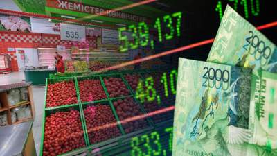Ашимбаев: Казахстан не может постоянно импортировать инфляцию из соседних стран