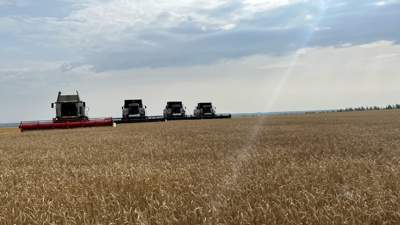 В пострадавшей Северо-Казахстанской области убрали 64,5 урожая зерновых