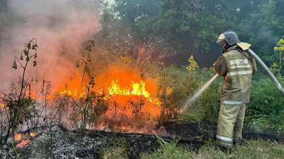 На спецодежду для лесных пожарных выделят 918 млн тенге