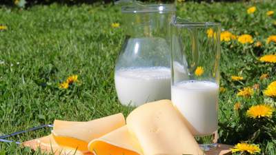 Специалисты рассказали, как выбрать безопасные молочные продукты