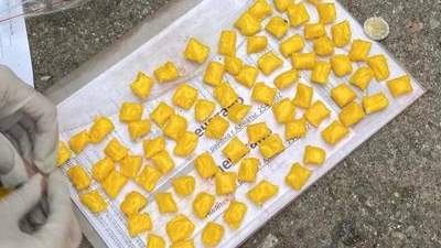 2,5 тонны наркотиков изъяли на территории государств-членов ОДКБ