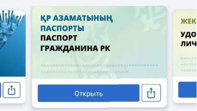 Паспорт оцифровали в Казахстане 
