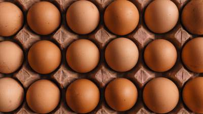 Цены на яйца резко подскочили в Казахстане