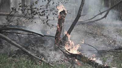 Пожары, Абайская область 