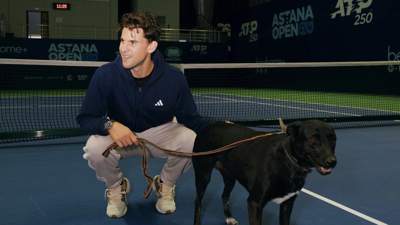 Накануне старта турнира серии ATP-250 игроки Доминик Тим, Себастьян Баэс, Роберто Карбальес-Баэна и Грегуар Баррере приняли участие в традиционной фотосессии с бездомными животными