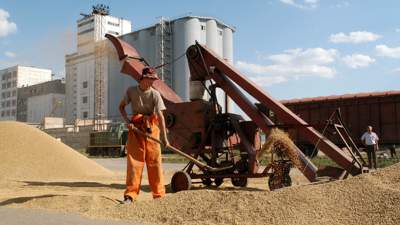 Казахстан МСХ зерно вывоз ограничения прогноз