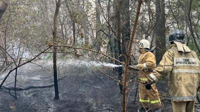 В Семей объявят ЧС в связи с лесными пожарами