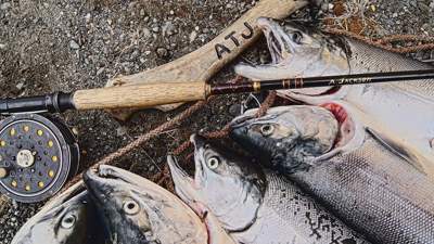 Рыбу запретили ловить в области Абай 