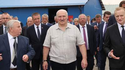 Лукашенко приютил на своей ферме трех котят