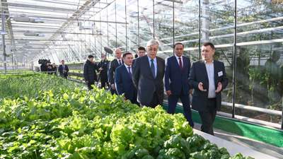 Президент "Қазақстанның жылыжай технологиялары" компаниясын аралады