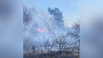 Пожар в Рудном: огонь перекинулся на 20 нежилых дачных домов