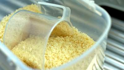 Расследование начато в отношении крупных производителей риса в Кызылординской области