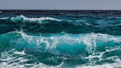 В Австралии прошел крупнейший "голый" заплыв