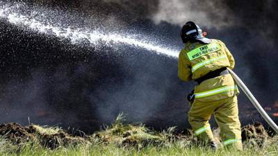 Пожар на вершине горы в Жамбылской области потушили