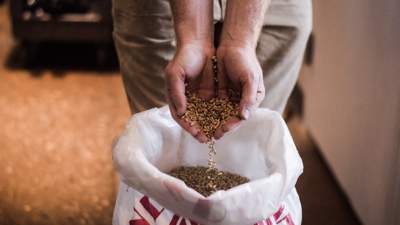 Казахстан и Россия проведут переговоры о тарифах на перевозку зерна