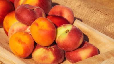 Казахстан сможет экспортировать абрикосы и персики в Китай на определенных условиях