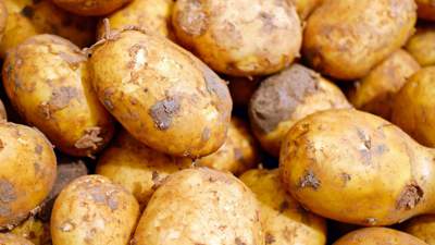 В Карагандинской области снизили цену на картошку сразу на 30%