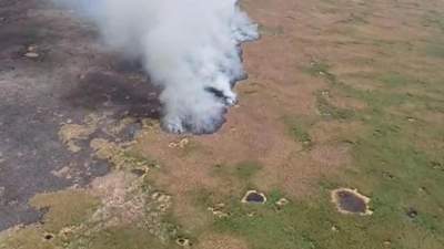 Восьмые сутки тушат пожар на территории Иле-Балхашского резервата, фото - Новости Zakon.kz от 30.06.2023 17:19